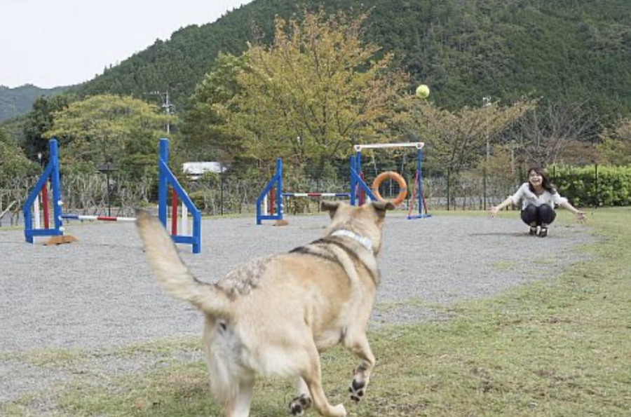【三重県】犬と一緒に泊まれるホテルおすすめ3選!わんちゃんと三重県の大自然を満喫♪