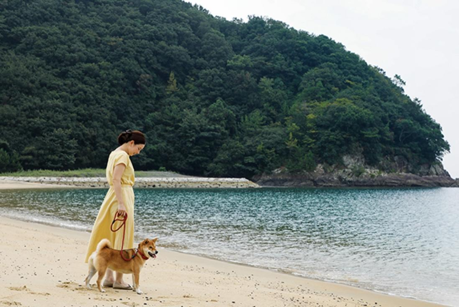 【三重県】犬と一緒に泊まれるホテルおすすめ3選!わんちゃんと三重県の大自然を満喫♪