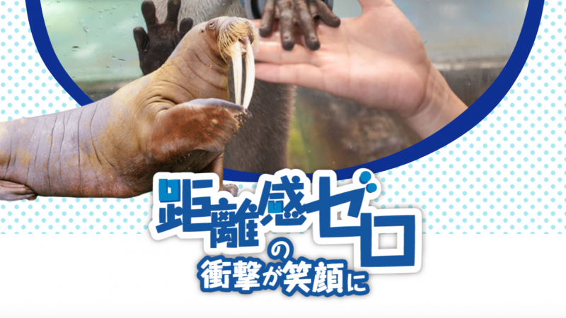 【2026年最新】家族で楽しむ三重県！子どもに人気の観光スポット5選
